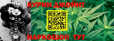 гидра Татарск