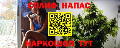 гидра Татарск